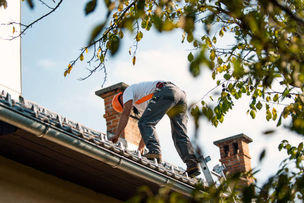 Best Commercial Roofing Services  in Sherwood, WI